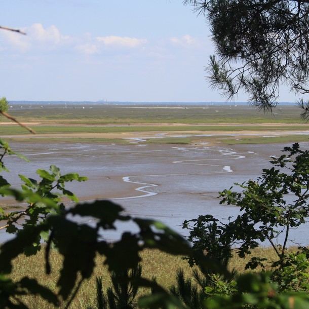 Visite guidée de la réserve naturelle d'Arès. 